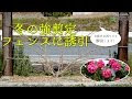 [最も欲しかった] バラ の 剪定 方法 冬 262924