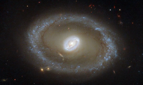 Hubble Space Telescope picture of galaxy NGC 3081. Credit: ESA/Hubble & NASA; acknowledgement: R. Buta (University of Alabama)