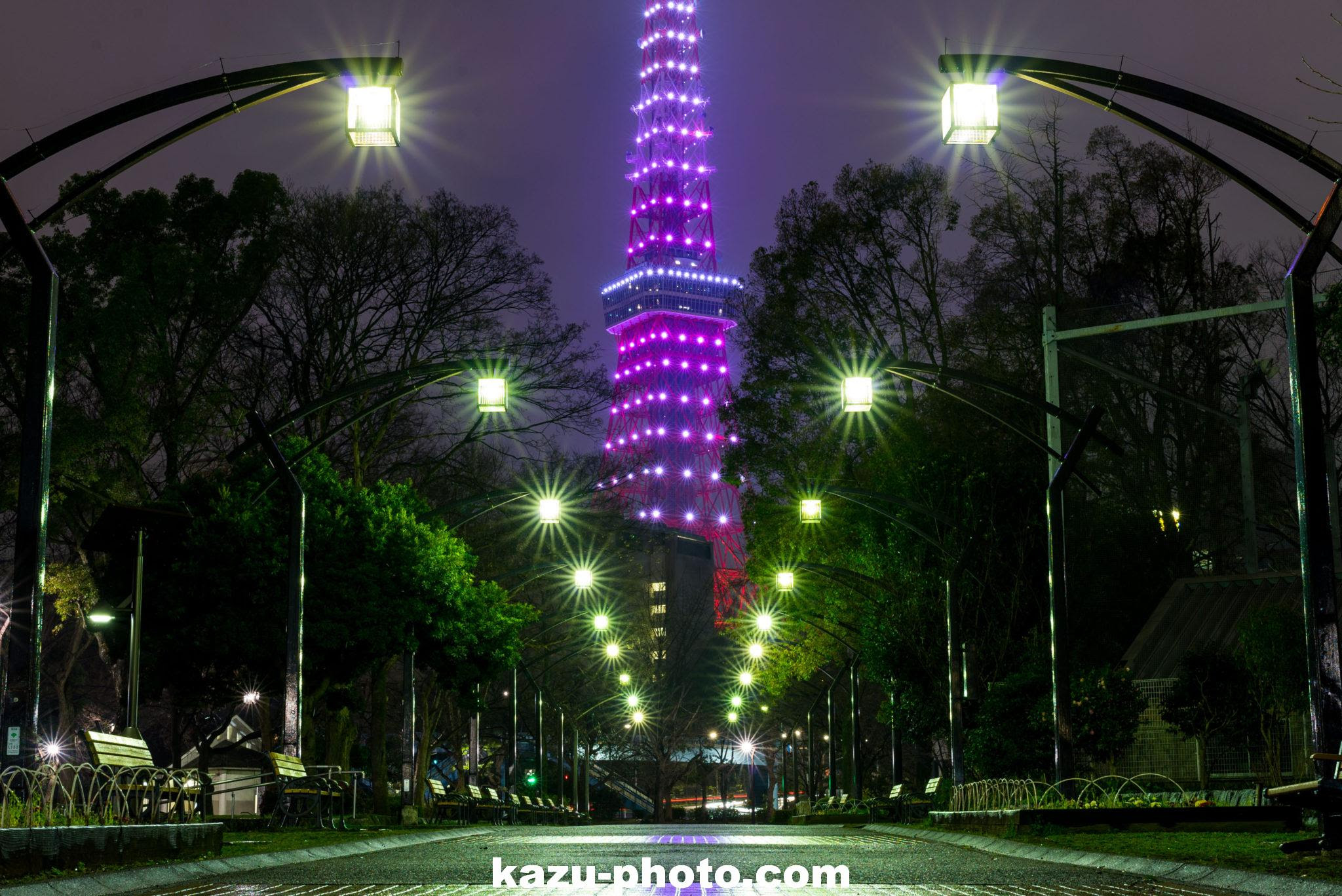 インスタ映えで人気の東京タワー撮影スポット 芝公園の夜景と並木道 Aのevfが見せる世界