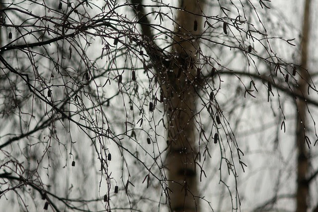 droplets