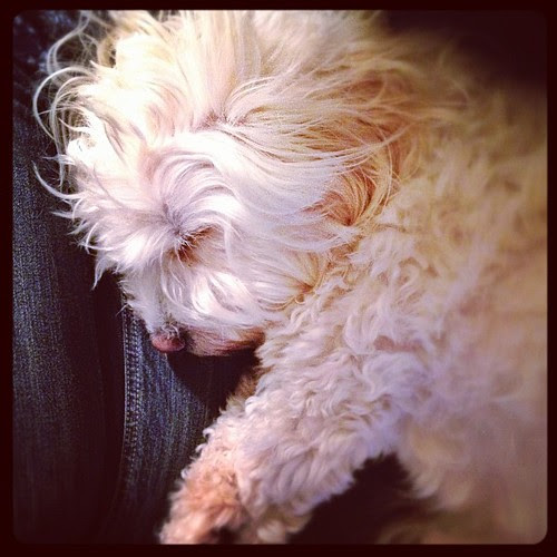 Bedtime...