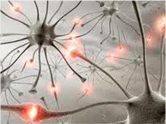 Изображение с сайта neurotransmitters-disorders.blogspot.com.