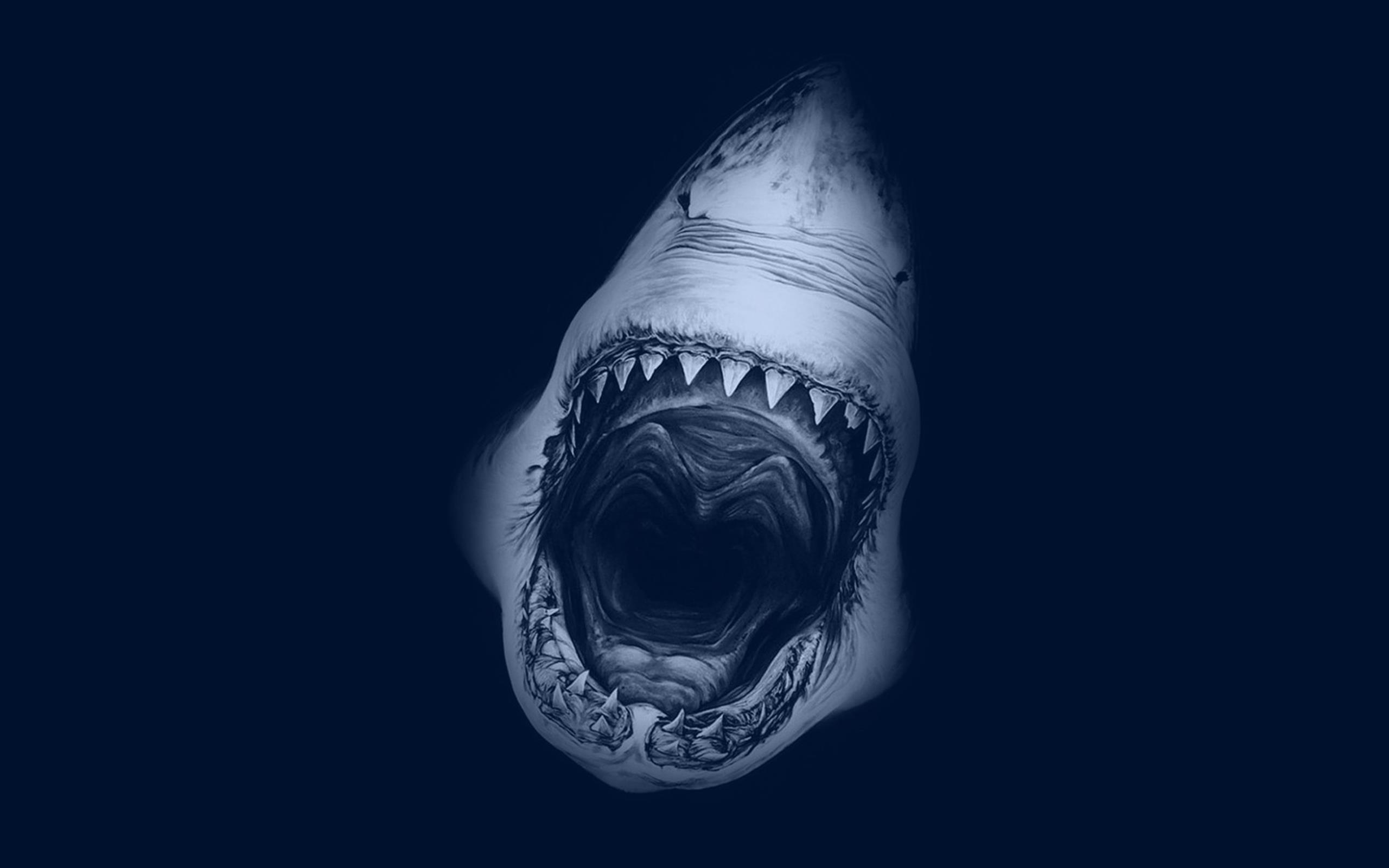Android Wallpaper: Shark Attack - Phandroid