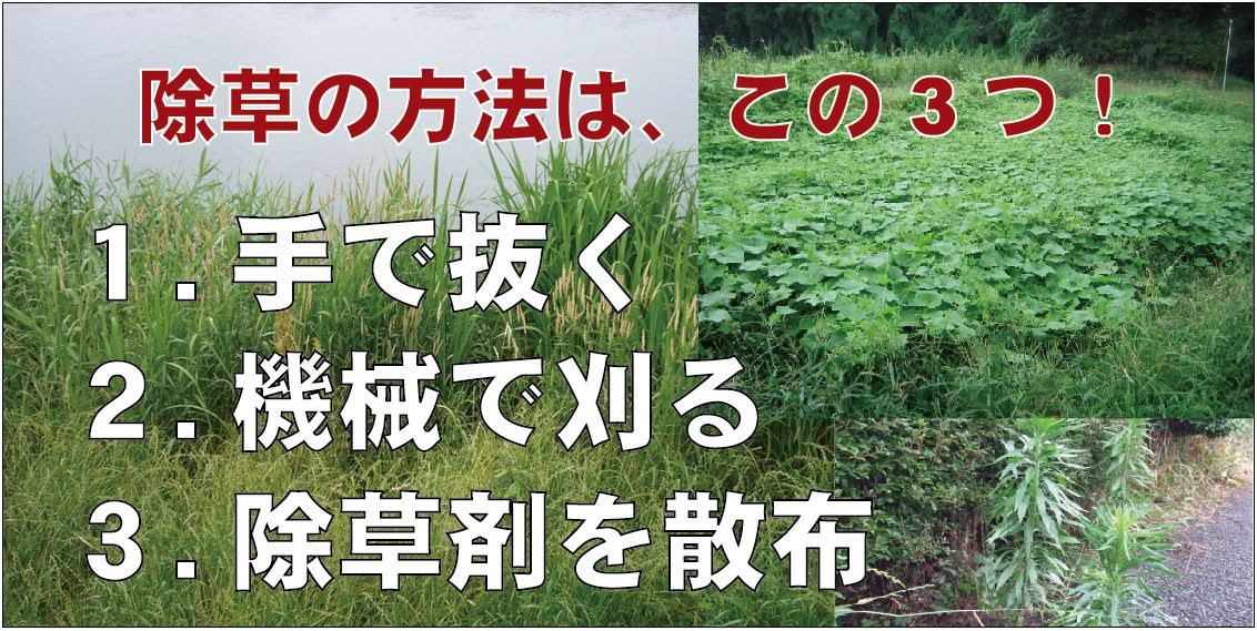 お庭の除草 草刈
