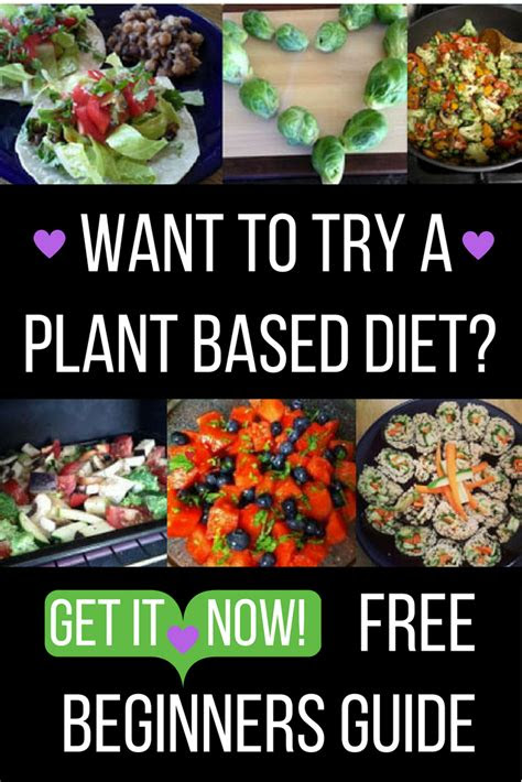 complete beginners guide  eating   plant based