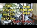 Bagaimana cara merawat bibit tanaman beli online....????