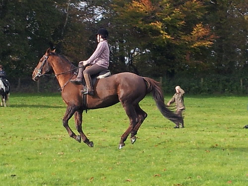 Cantering Side Saddle on Tex.