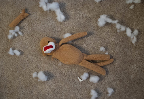 9 of 9 Death of a Stuffy