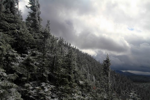 Firetower peaks out