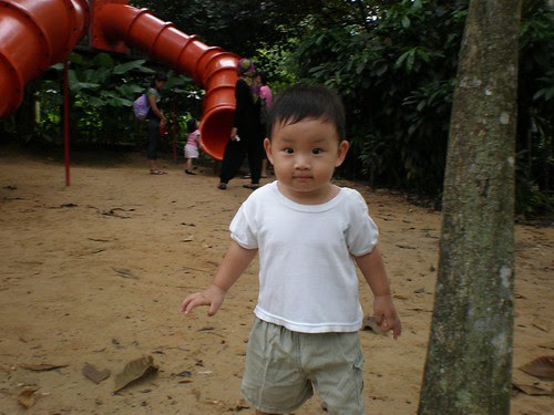 Tree house slide 6