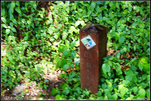 DSC05754