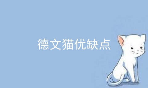 德文猫优缺点 德文猫卷毛优缺点 德文猫 宠伴网