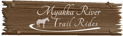 Contact Myakka River Trail Rides
