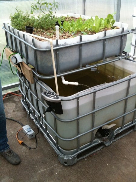 Photos - The North Texas Aquaponics Meetup Group (Richardson, TX 