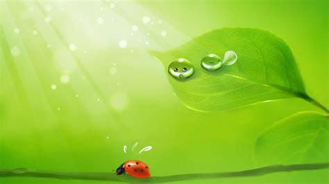 cute desktop wallpapers hddesktopwallpaperorg