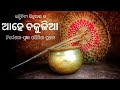 A Documentary on Chakulia Panda by Prangya Paramita Pradhan