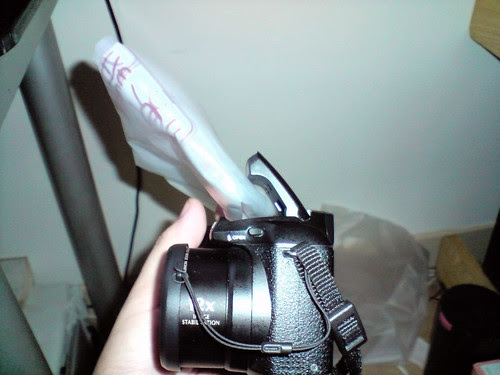 P080909_15.19[01]