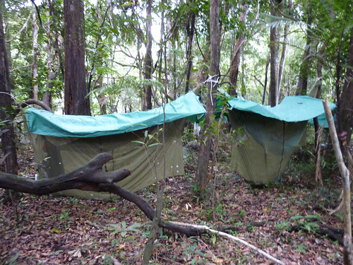 Nos chambres avec vue sur la jungle