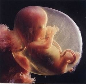 Semaine 9 L Alimentation Pour Votre Bebe Le Blog De Charlene