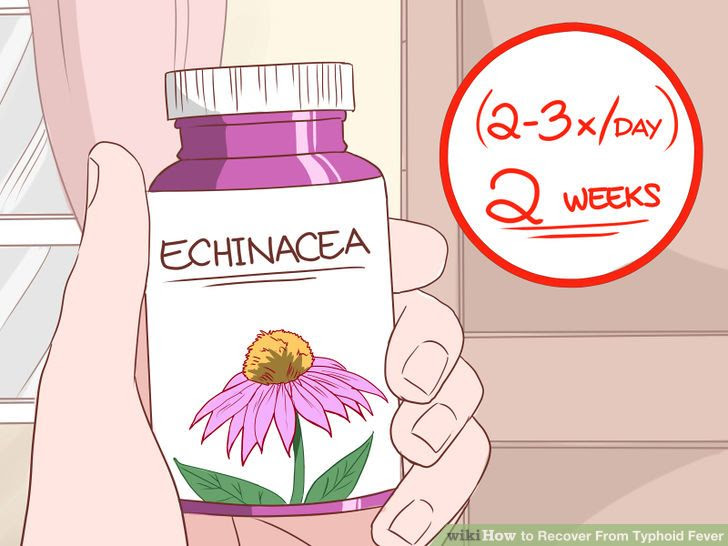 Recover from Typhoid Fever Step 11 Version 4.jpg