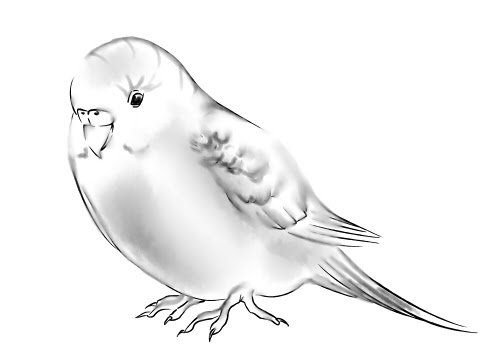 Portfolio Fuji Gallery 和風