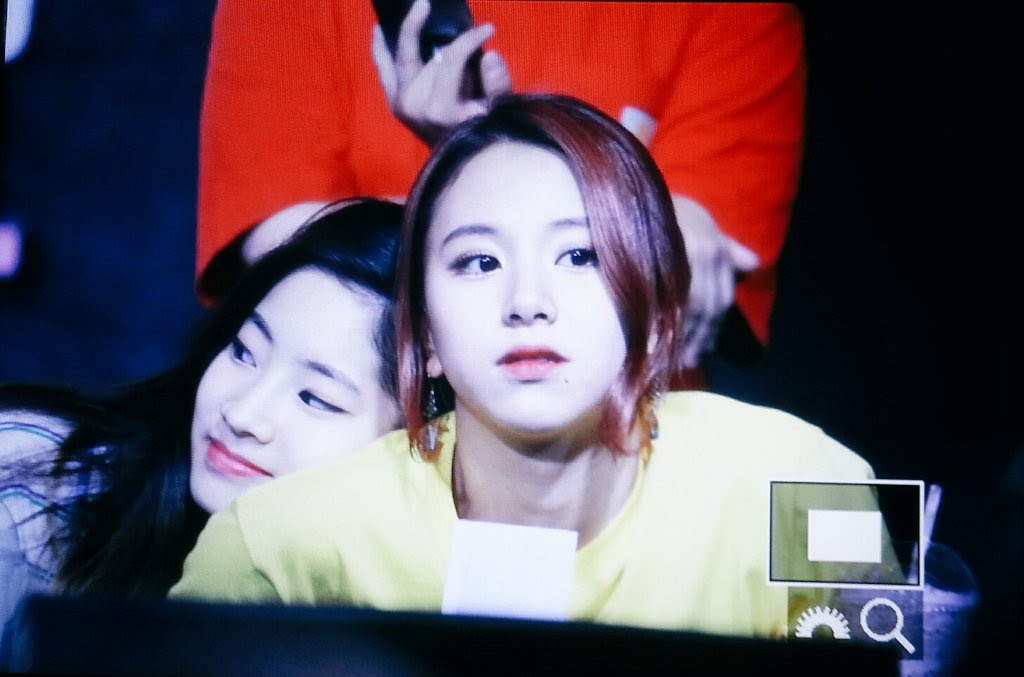채영 트와이스 CHAEYOUNG TWICE JYPNATION 쯔위 미나 정연 나연 모모 다현 mylight_kr