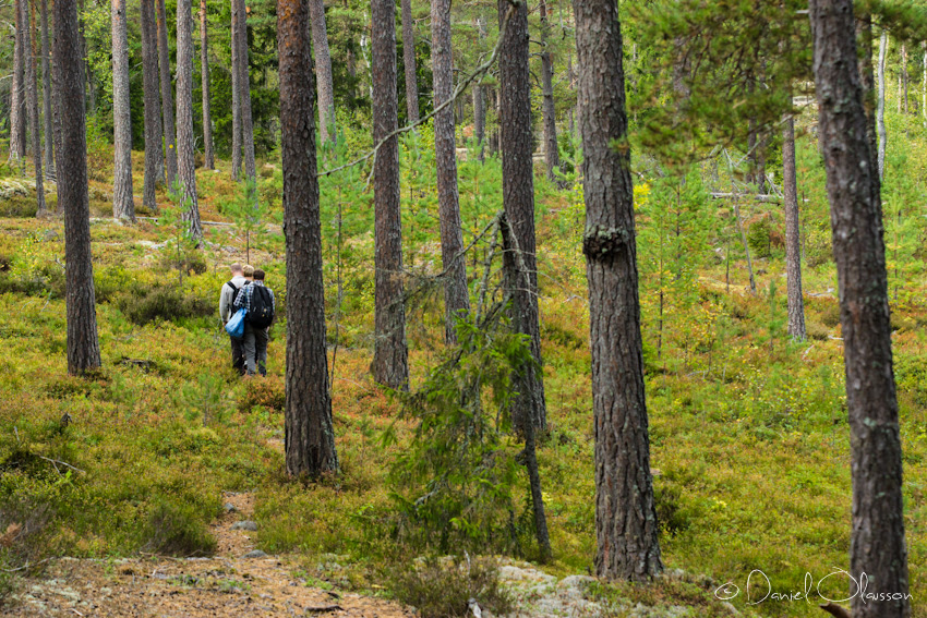 Svarttjärn approach