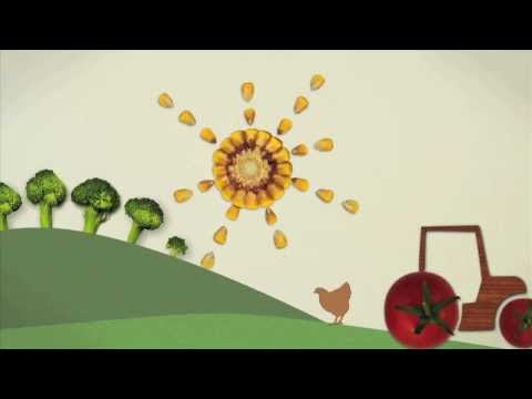 Where that 11 Billion People's Worth of Food Goes