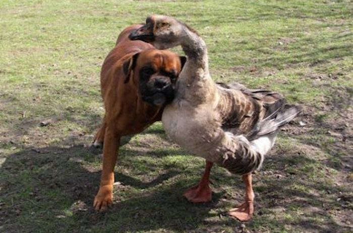 Acid Picdump (105 pics)