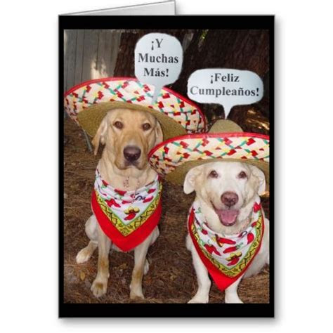  16 best birthday spanish images on pinterest birthday wishes