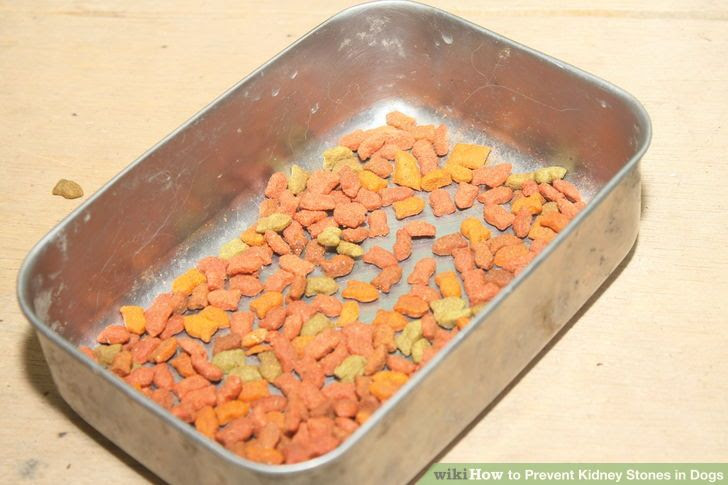 Prevent Kidney Stones in Dogs Step 5 Version 2.jpg