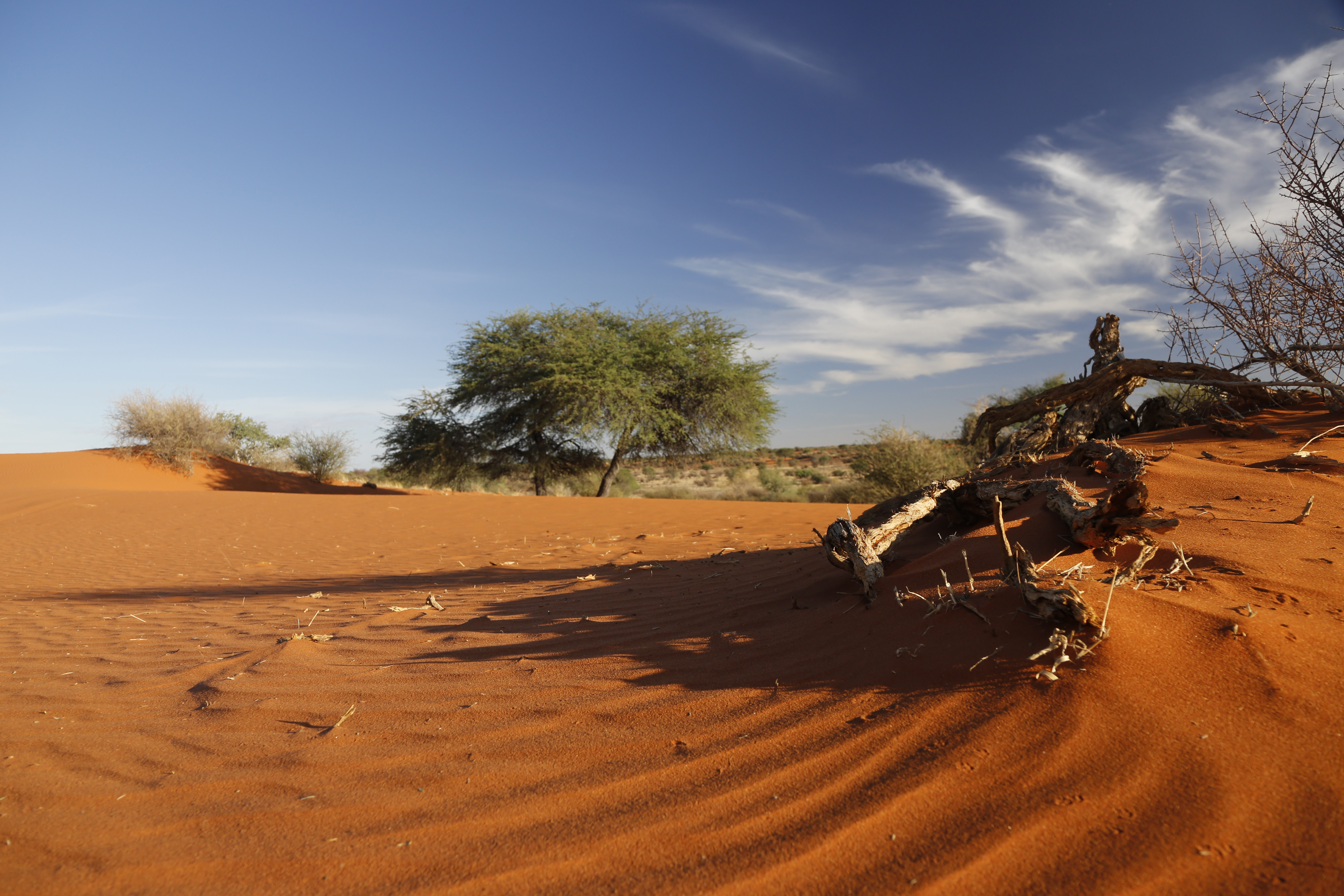 Namibia