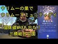 画像をダウンロード ポケ��ンgoウリムー個体値 102599-���ケモンgoウリムー個体値100