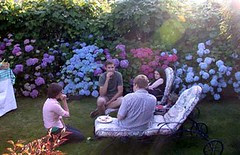 picnic4