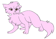 22+ Cat Base Lenkote