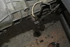 Lotus130802-12