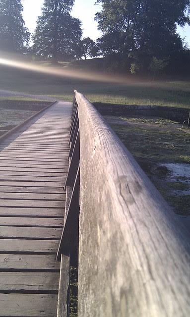 IMAG0332