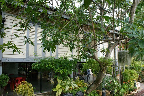 DSC08694