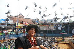 Beggar Poets Fly On  Wings of Angels Too by firoze shakir photographerno1