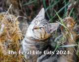 2024 Feral Cats Cover
