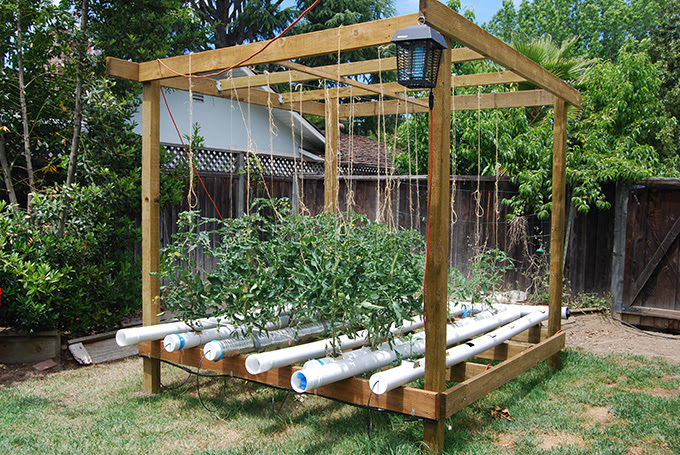 Great Vegetable Garden Ideas - Epic Gardening