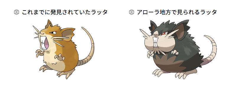 アローラのすがた あろーらのすがた とは Kai You キーフレーズ