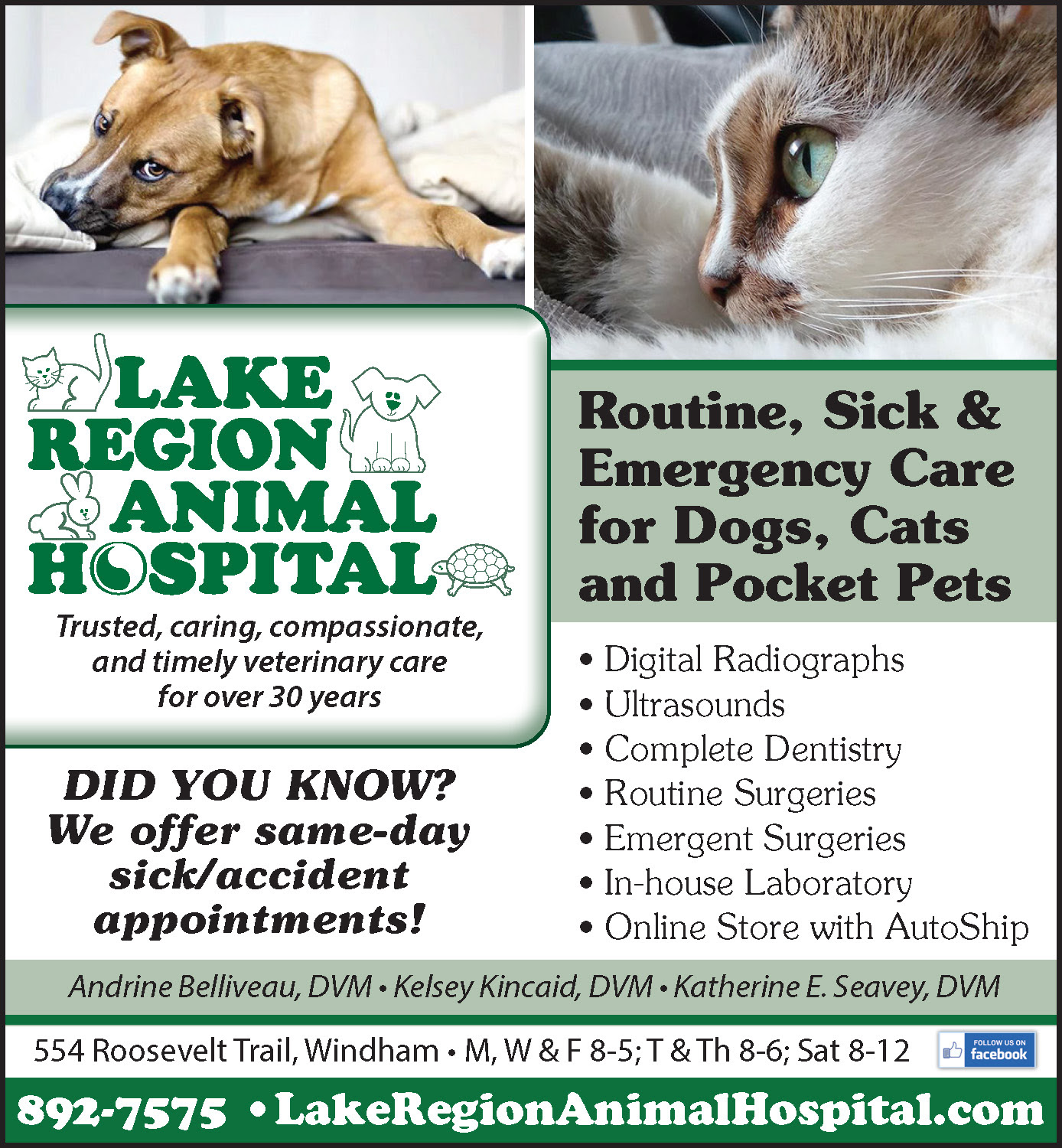 The Windham Eagle Business: 2019