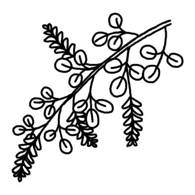 ハギ 萩 秋の花 無料 白黒イラスト素材