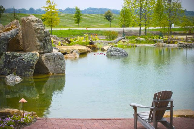 Aquascape Ecosystem Pond via Town and Country Living