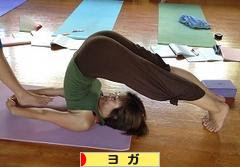 にほんブログ村 健康ブログ ヨガへ