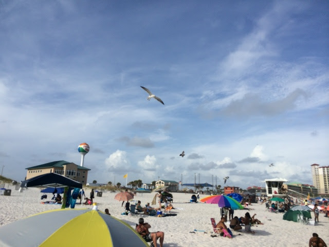 IMG_3736