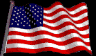 (Y)our American Flag Waves