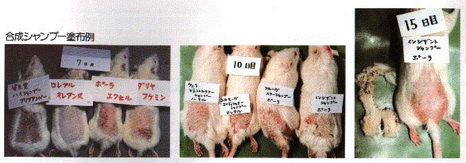 買い手 動力学 胸 シャンプー はげる Izumiotsu Ed Jp