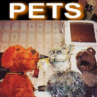 Pets